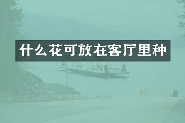 什么花可放在客厅里种