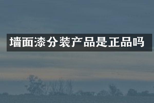 墙面漆分装产品是正品吗