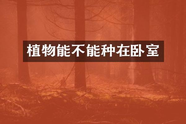 植物能不能种在卧室