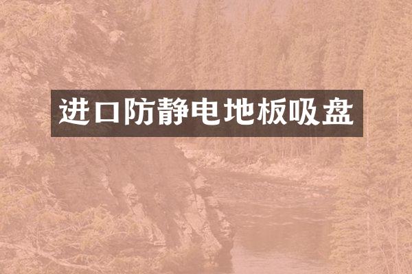 进口防静电地板吸盘