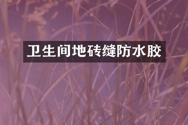 卫生间地砖缝防水胶