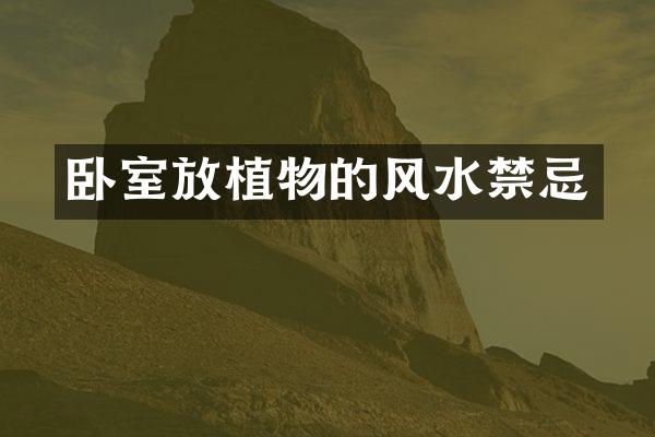 卧室放植物的风水禁忌