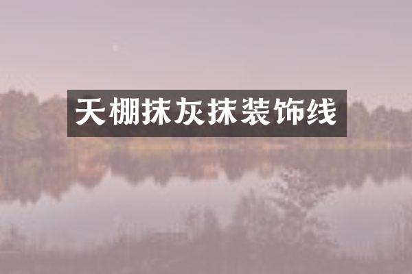 天棚抹灰抹装饰线