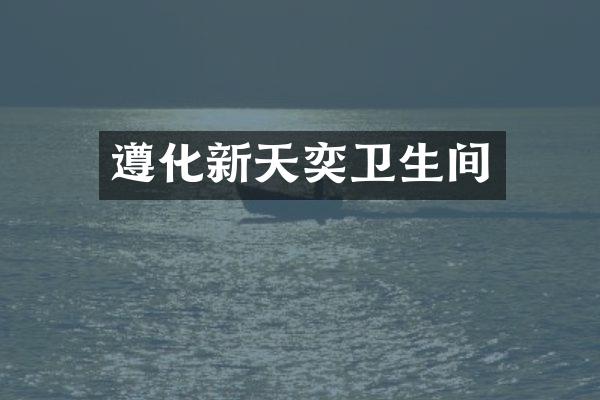 遵化新天奕卫生间