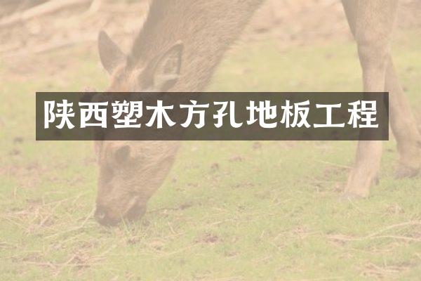 陕西塑木方孔地板工程