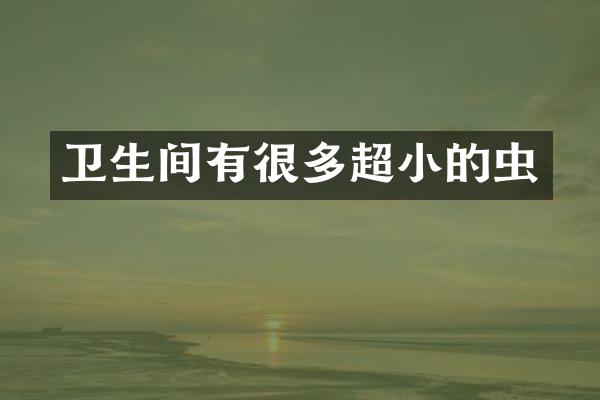 卫生间有很多超小的虫