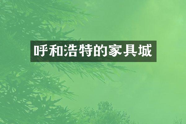 呼和浩特的家具城