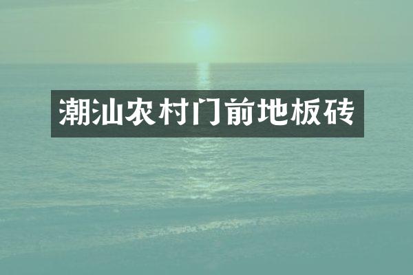 潮汕农村门前地板砖