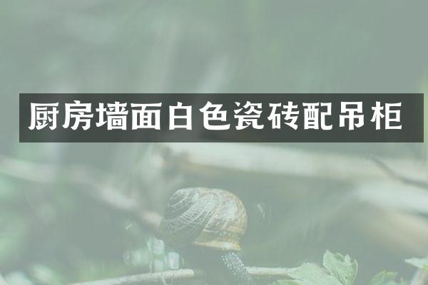 厨房墙面白色瓷砖配吊柜