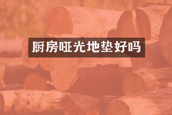 厨房哑光地垫好吗