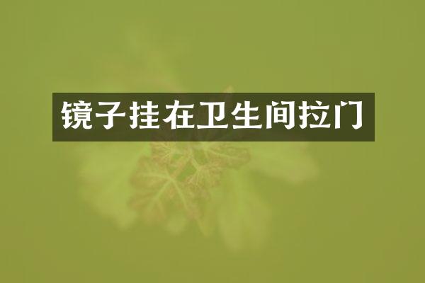 镜子挂在卫生间拉门