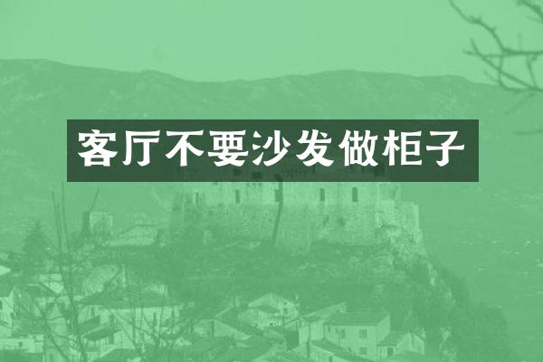 客厅不要沙发做柜子