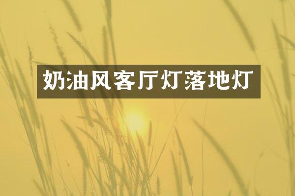 奶油风客厅灯落地灯
