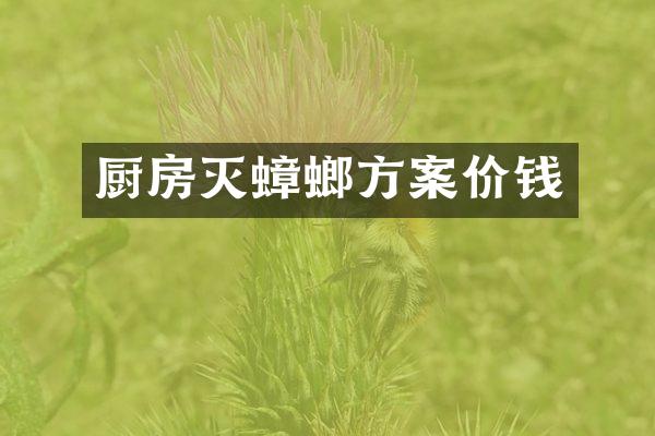 厨房灭蟑螂方案价钱