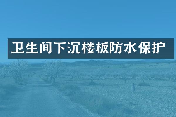 卫生间下沉楼板防水保护