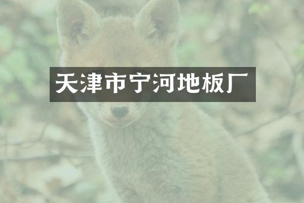 天津市宁河地板厂