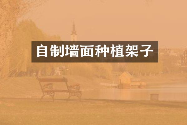 自制墙面种植架子