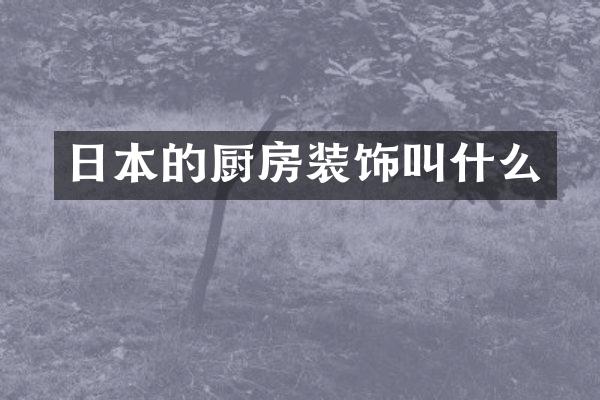 日本的厨房装饰叫什么