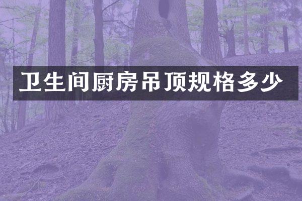 卫生间厨房吊顶规格多少