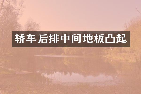 轿车后排中间地板凸起