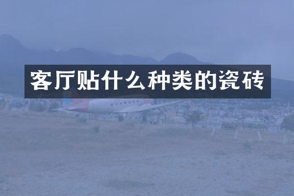 客厅贴什么种类的瓷砖