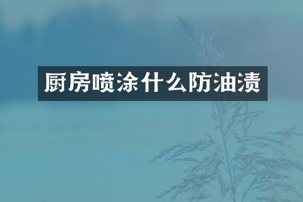 厨房喷涂什么防油渍