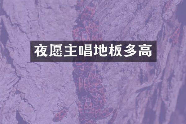 夜愿主唱地板多高