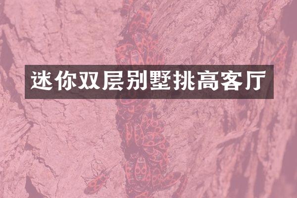 迷你双层别墅挑高客厅