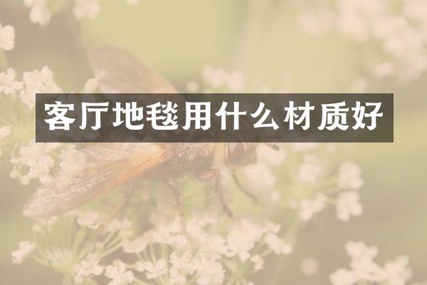 客厅地毯用什么材质好