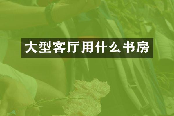 大型客厅用什么书房