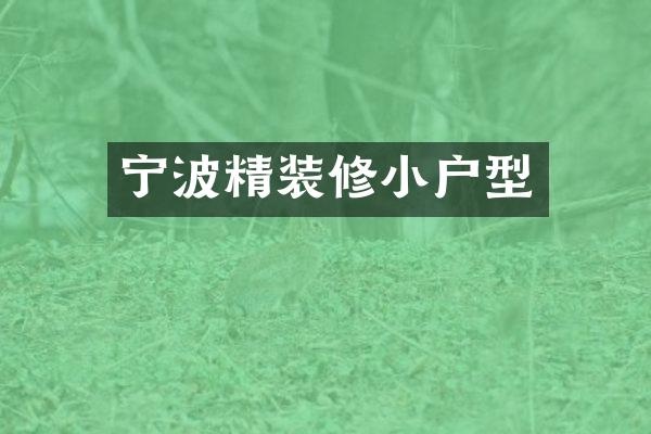 宁波精装修小户型