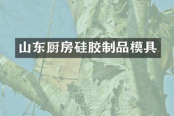 山东厨房硅胶制品模具
