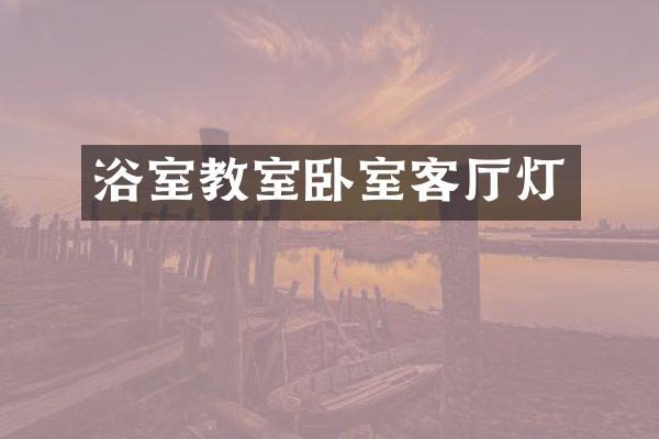 浴室教室卧室客厅灯