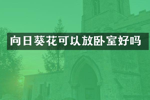 向日葵花可以放卧室好吗