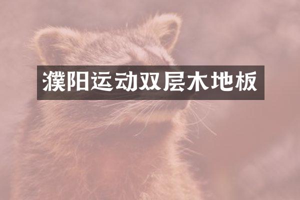 濮阳运动双层木地板