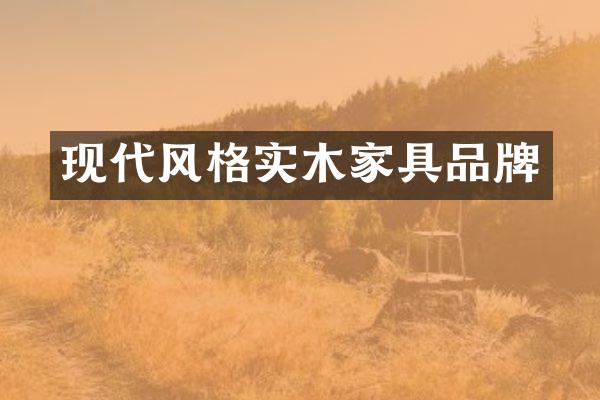 现代风格实木家具品牌