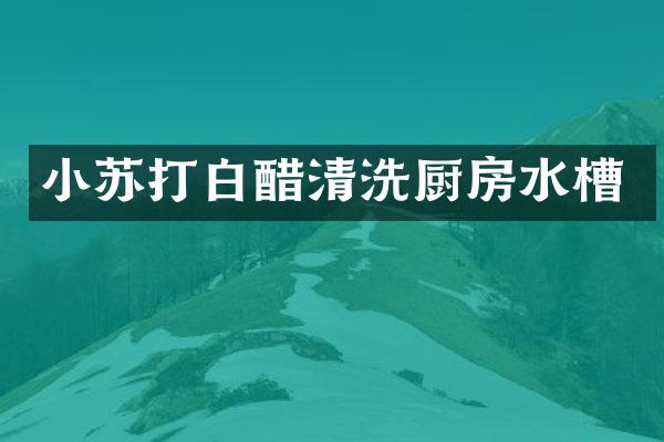 小苏打白醋清洗厨房水槽