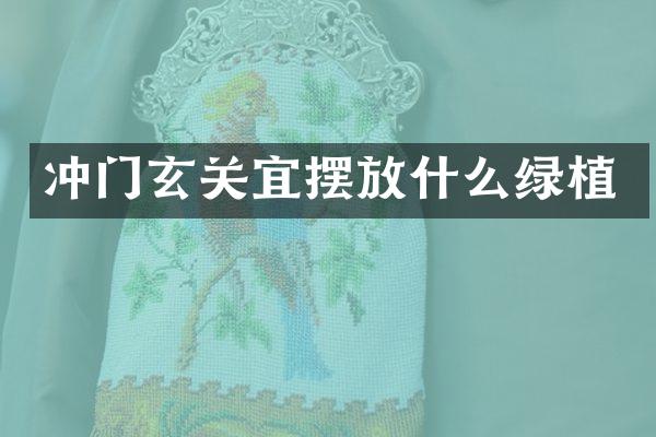 冲门玄关宜摆放什么绿植