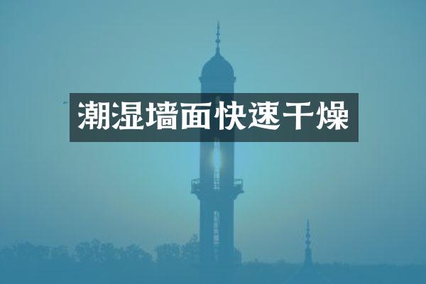 潮湿墙面快速干燥