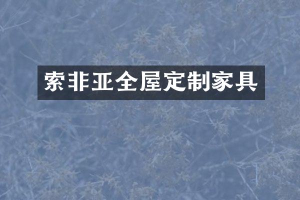 索非亚全屋定制家具
