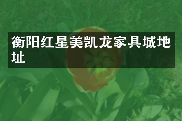 衡阳红星美凯龙家具城地址