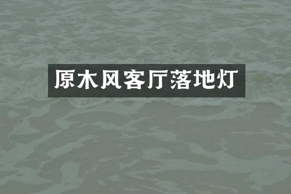 原木风客厅落地灯