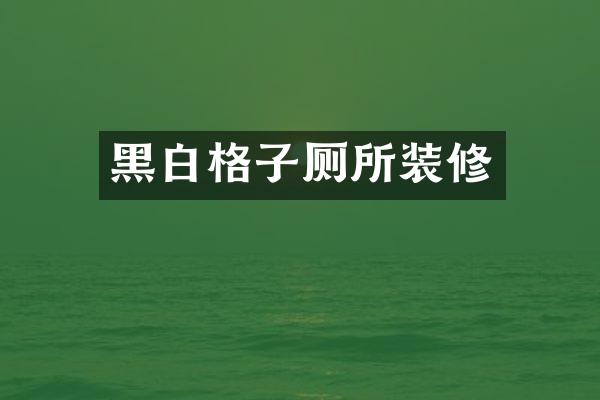 黑白格子厕所装修