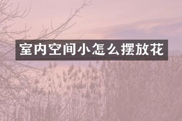 室内空间小怎么摆放花