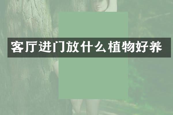 客厅进门放什么植物好养