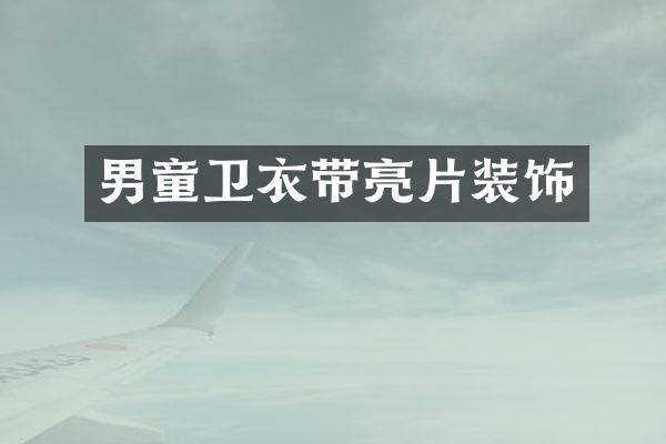 男童卫衣带亮片装饰