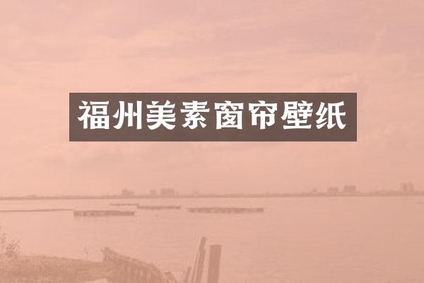 福州美素窗帘壁纸