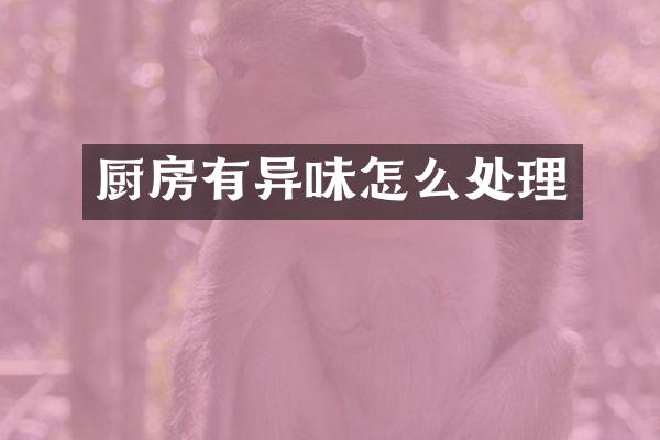 厨房有异味怎么处理