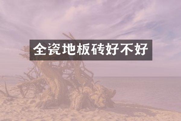 全瓷地板砖好不好