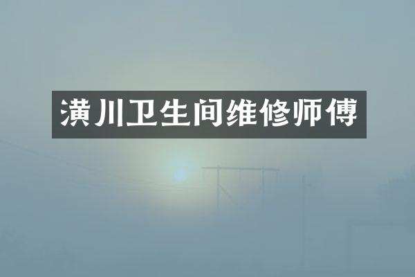 潢川卫生间维修师傅